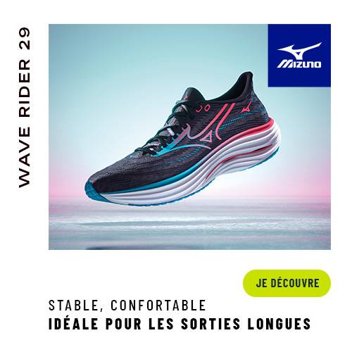 Mizuno wave rider 29