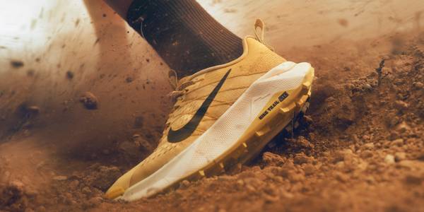Chaussures de trail Nike Wildhorse 10 en solde