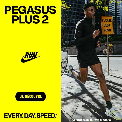 Nike pegasus plus 2