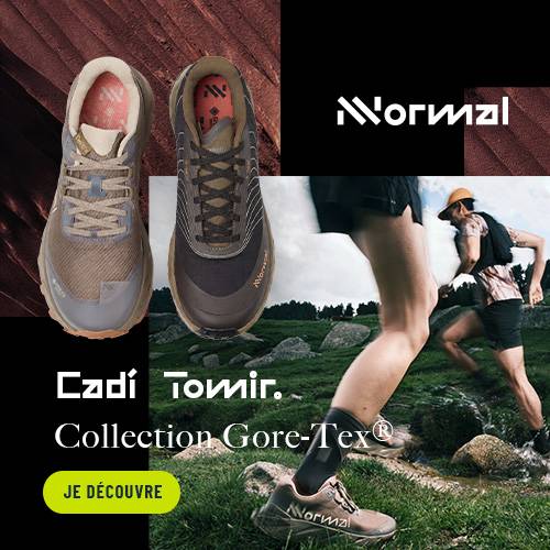 nnormal gore-tex