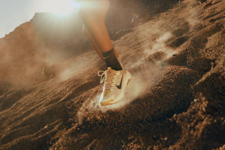 Chaussures de trail Nike Wildhorse 10 en solde