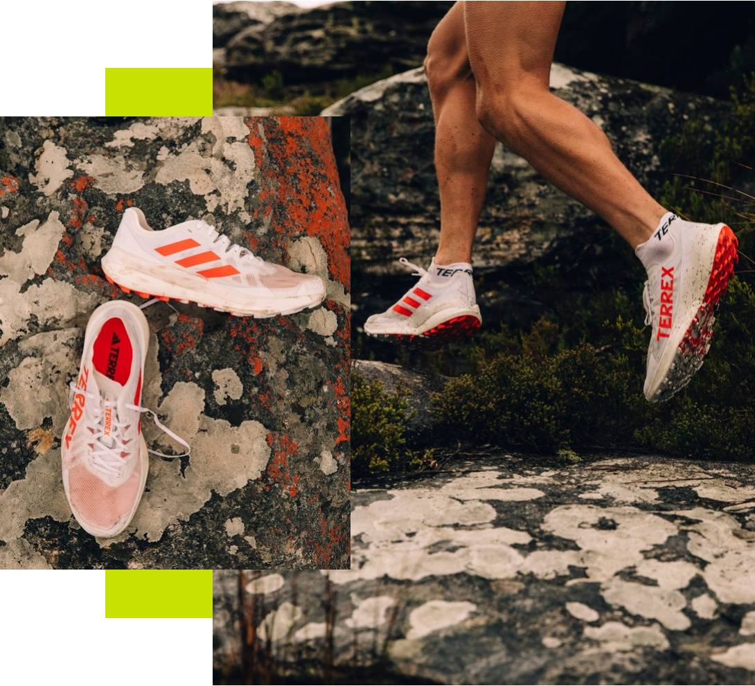 adidas Terrex Agravic Speed