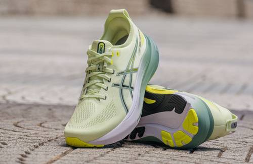 Asics Kayano 31