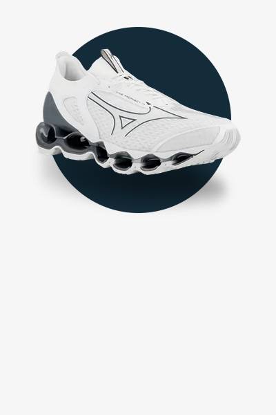 mizuno wave prophecy