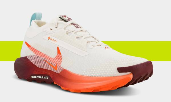 Nike Pegasus Trail 5 gore tex