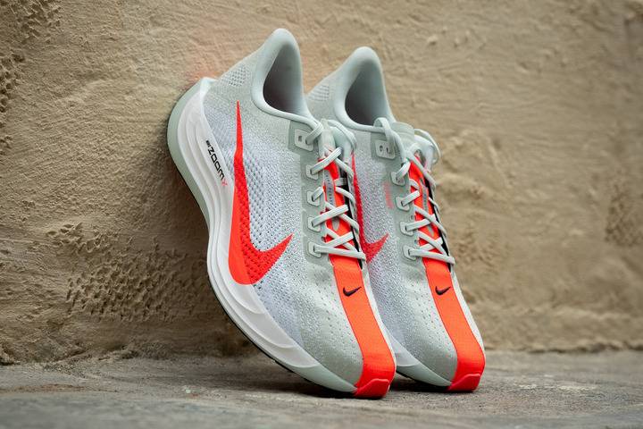 Pourquoi choisir la Pegasus Plus