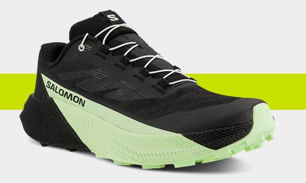 Salomon Pulsar